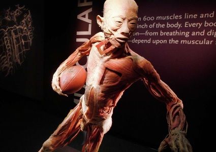 死体博物館2016アメフト