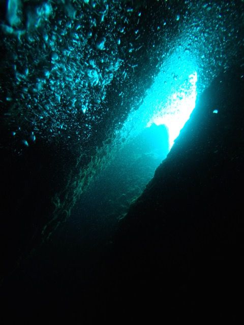 PA300090