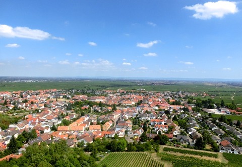 CIMG1592