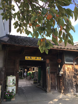 kyoto_2_10