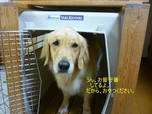 8月22日?