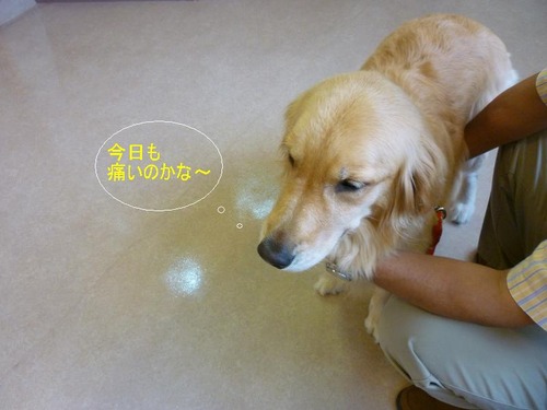 8月26日?