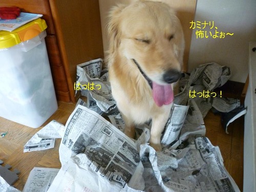 ７月１５日③