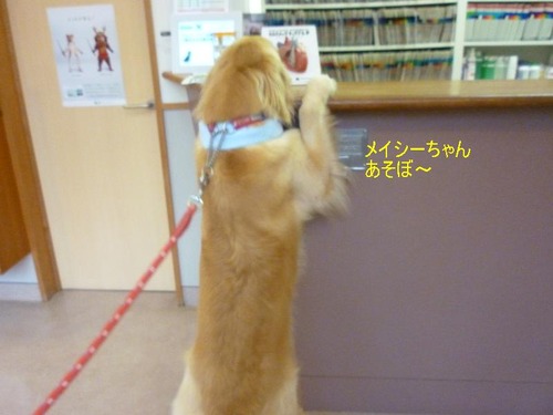 8月26日?