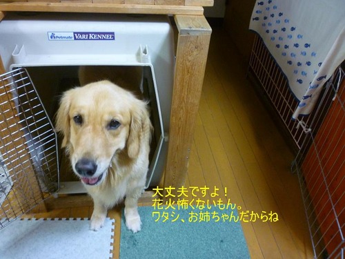 8月22日?