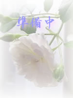 4f4dab03.jpg