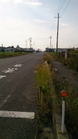 99434f89.jpg