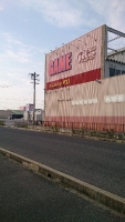 25c75e01.jpg