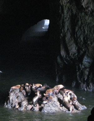 d3b67b89.jpg