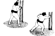 rule_pic04