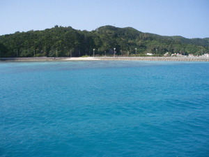 zamami39