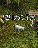 »Ò¸¤£±