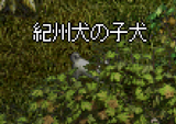 »Ò¸¤£²