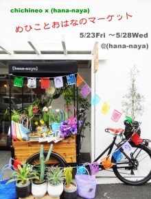 t02200291_0800105812935181264