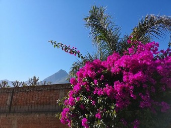 IMG_20181119_093311