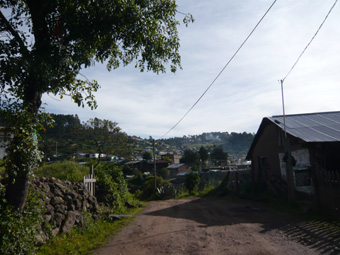 fe638769.jpg