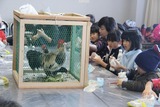 IMG_6227 - コピー