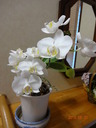 DSC00837