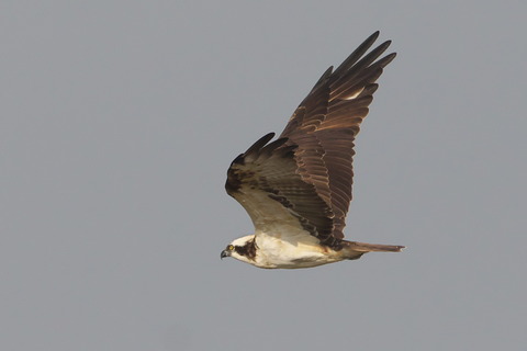 BK2A7588