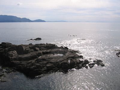 IMG_0051_R