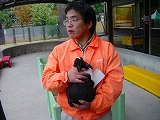 うさぎの指は何本?