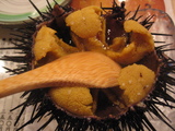 ムラサキウニ