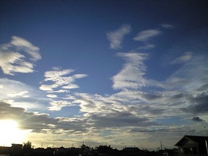 vlbg025296