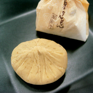 vlbg025273