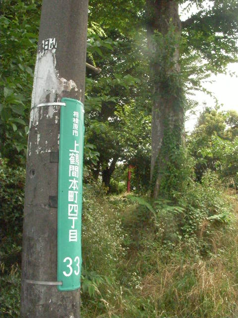SANY0015