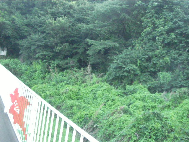 SANY0057