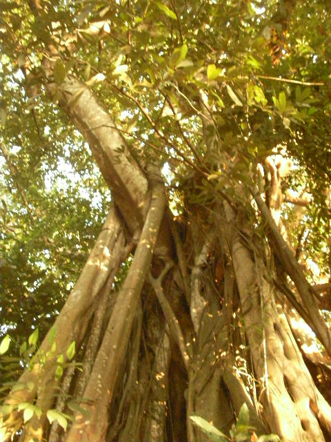 SANY0164