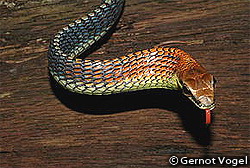 20100506org00m100030000p_size5