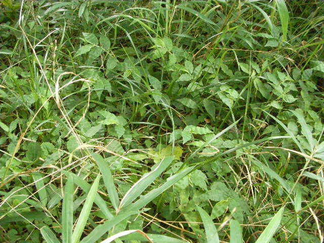 SANY0026