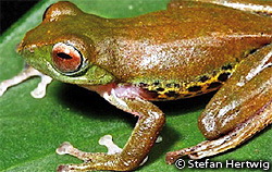 20100506org00m100029000p_size5