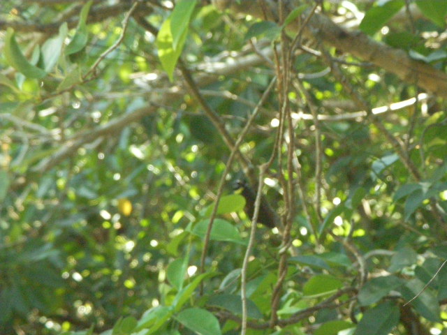 SANY0168