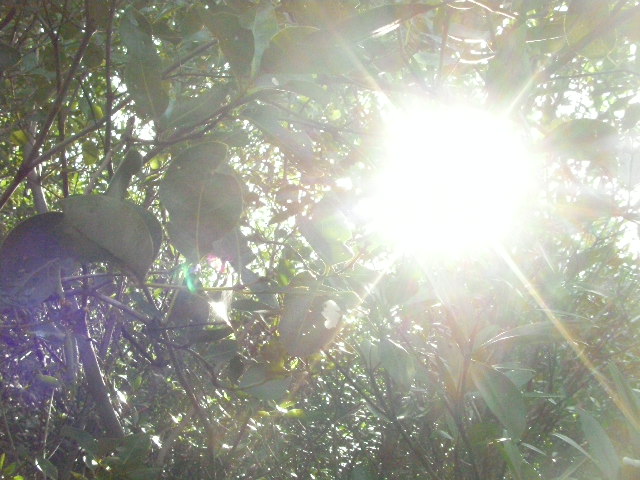 SANY0243