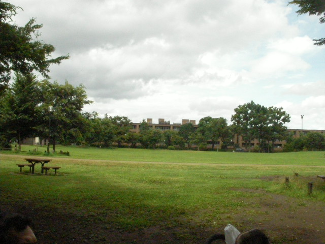 SANY0001