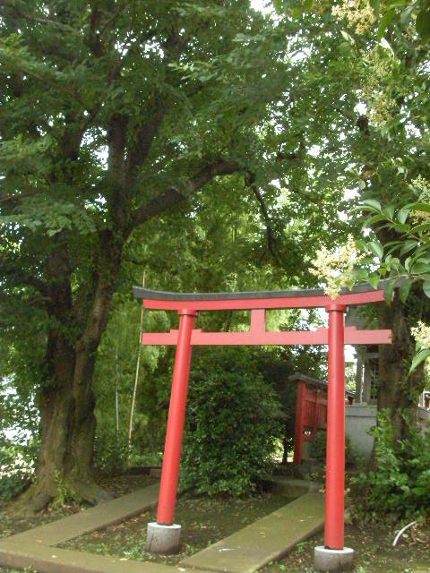 SANY0011