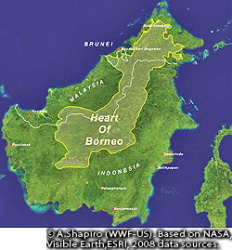 20100506org00m100028000p_size5
