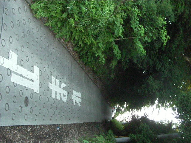 SANY0046