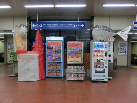 CIMG8935