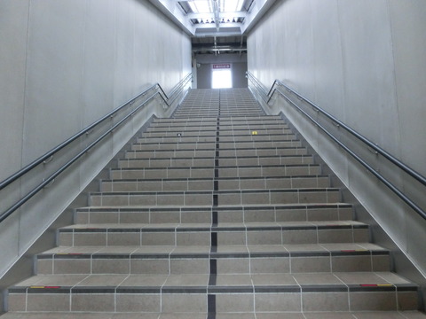 CIMG6582