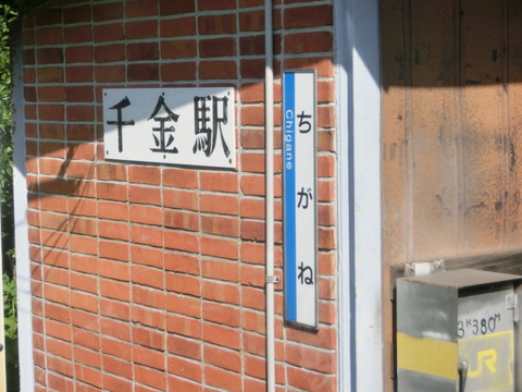 CIMG5594
