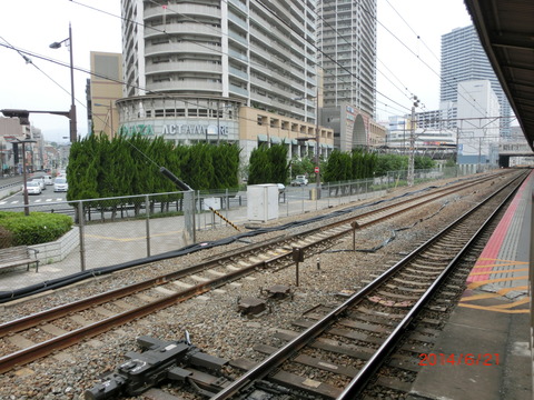 CIMG2009