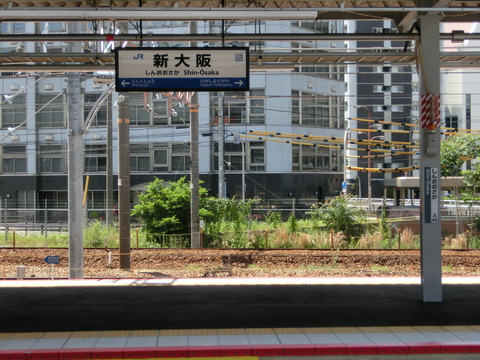 CIMG9981