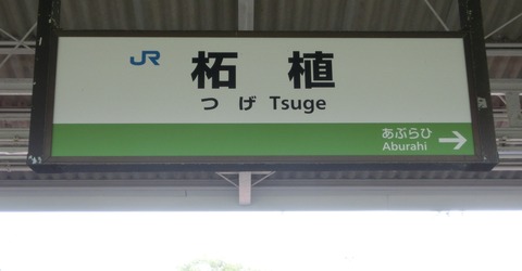 CIMG3844-1