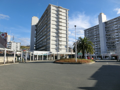 CIMG2525