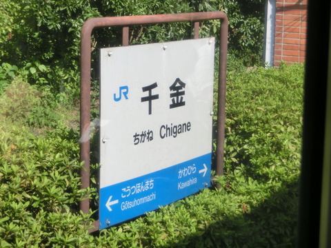 CIMG5591