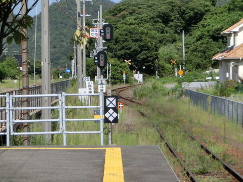 CIMG5445