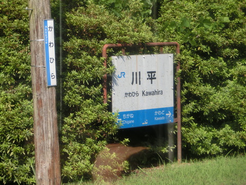 CIMG5595